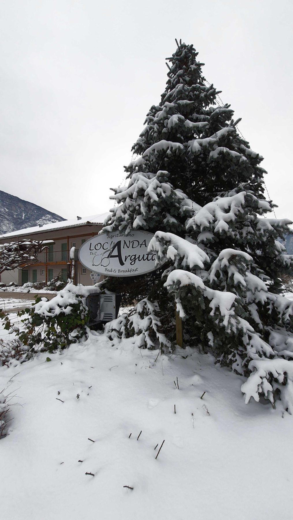 L'insegna della Locanda sotto un abete innevato